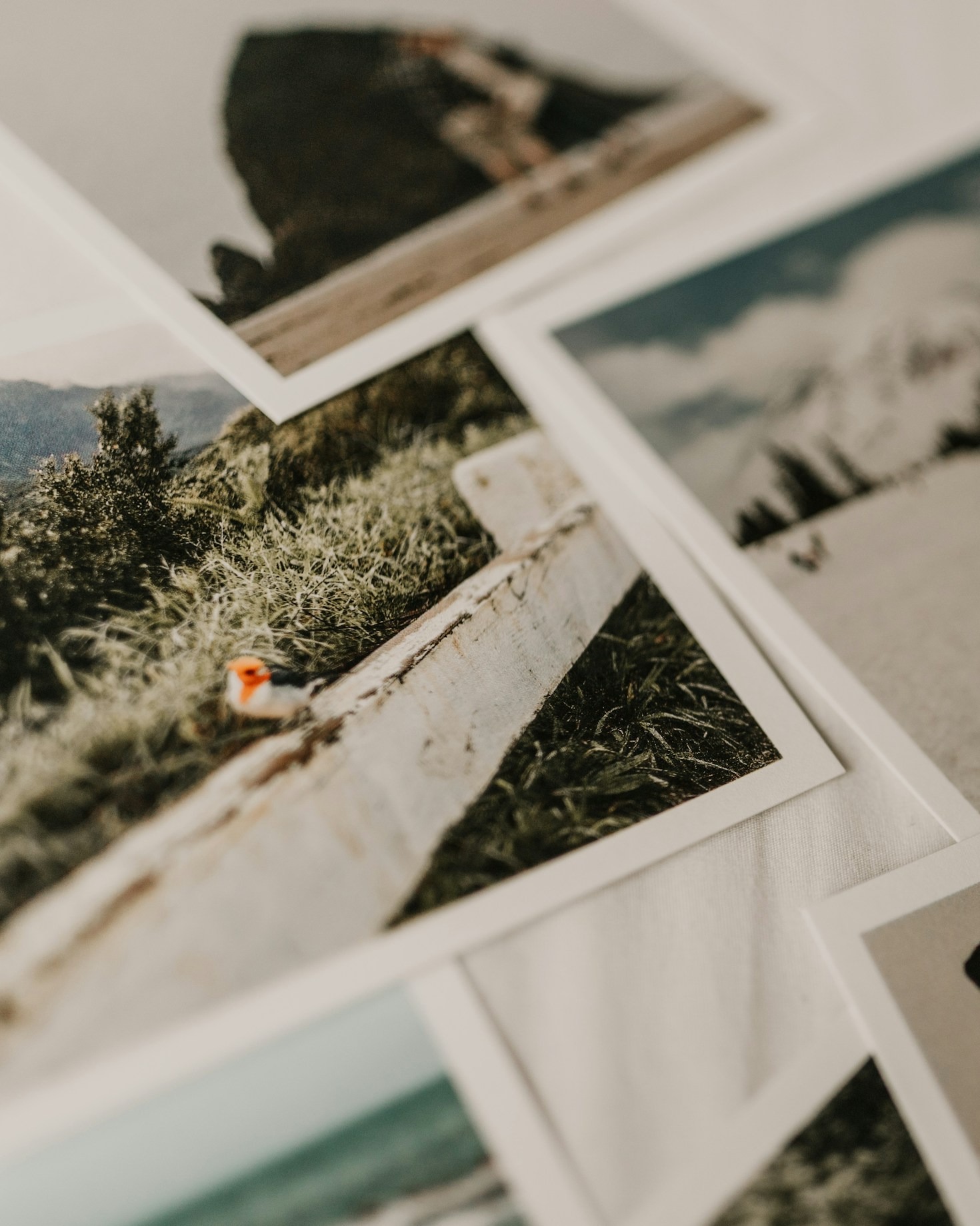 Memory Preservation: Tips and Techniques